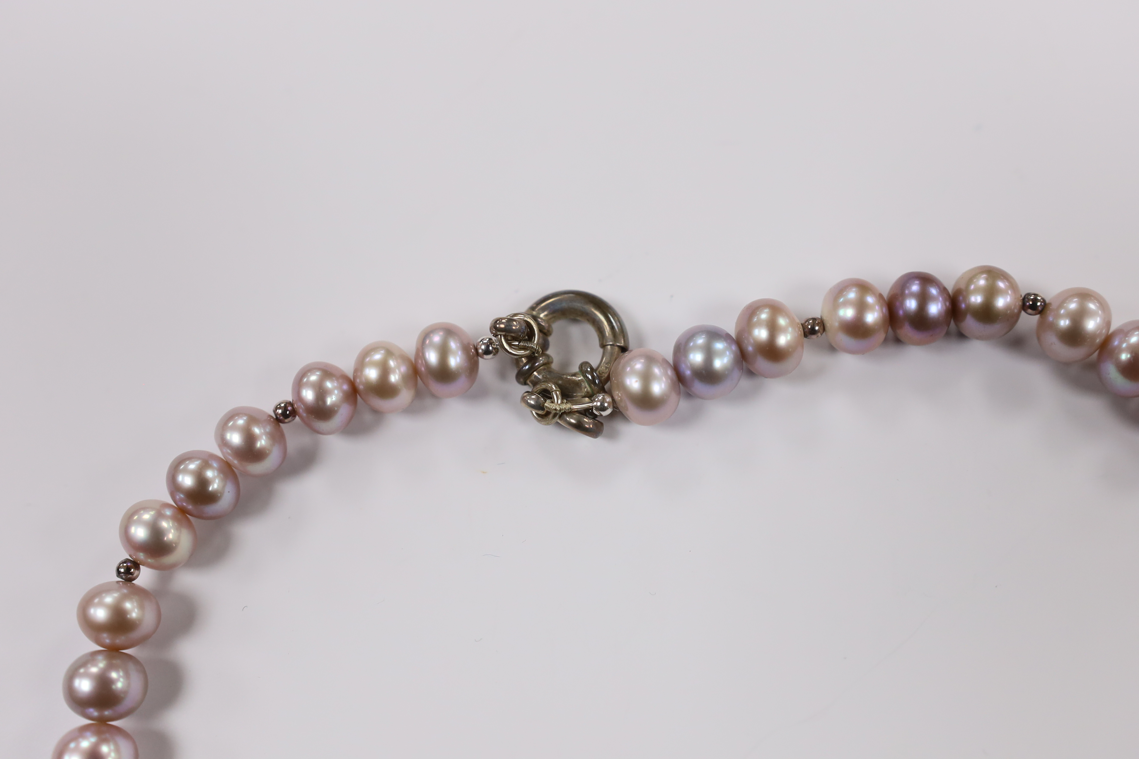 A single strand South Sea cultured pearl necklace, with sterling clasp, 48cm, in Pruden & Smith box and a pair of similar ear studs.